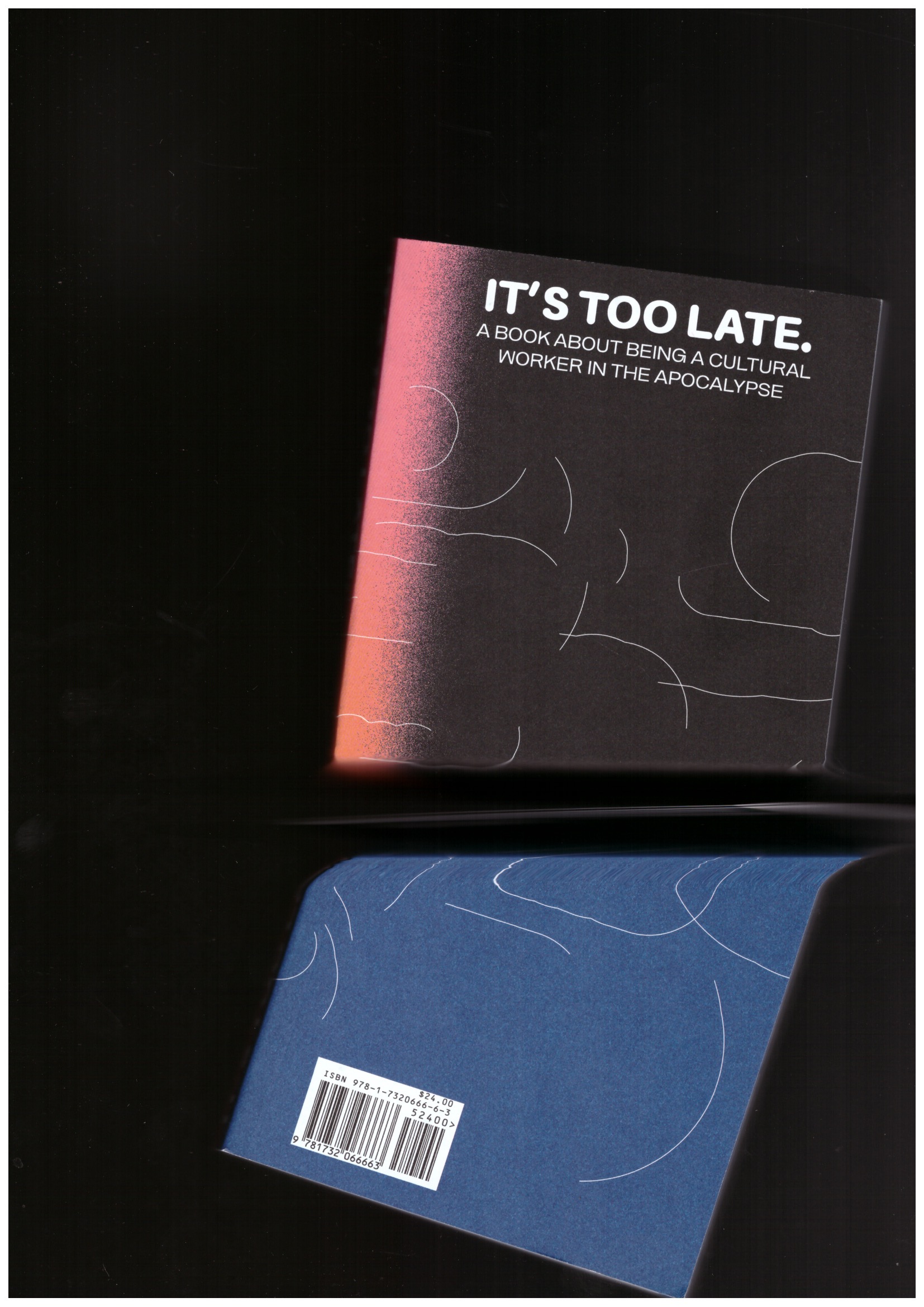 THORNTON, Cassie; JADWIGA HÄRTELOVA, Magdalena (eds. - It's Too Late. Do It Anyway!